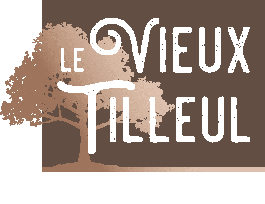 Hotel le Vieux Tilleul à Seyne les Alpes