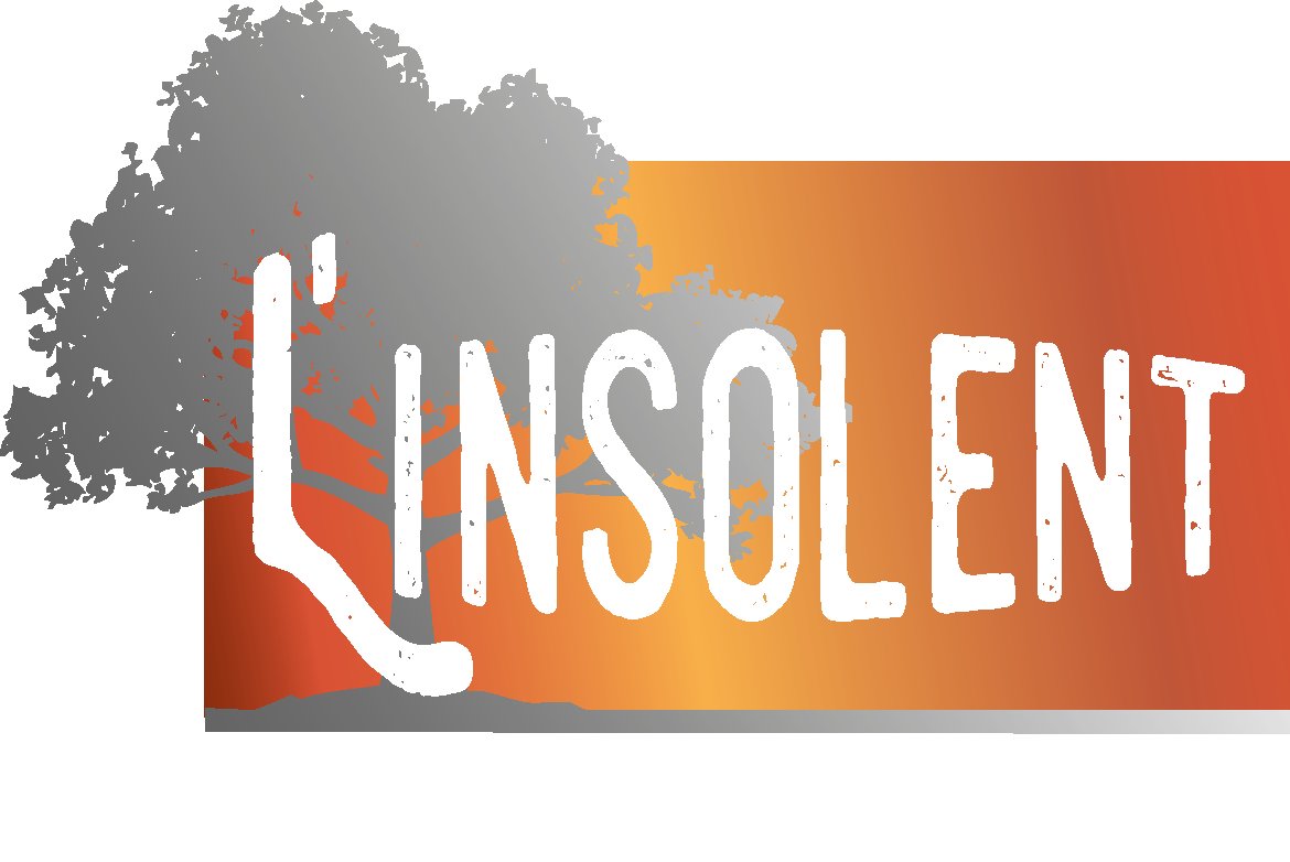 Restaurant l'Insolent à Seyne les Alpes