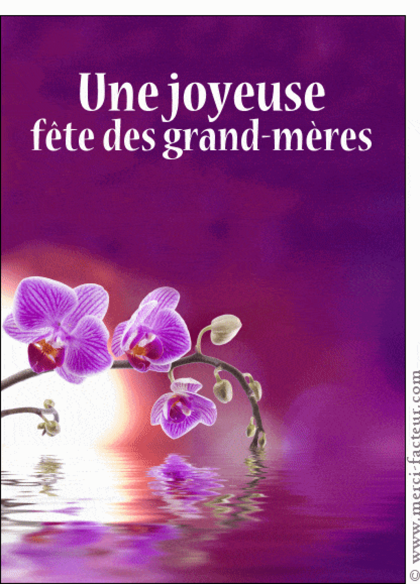 2517-Joyeuse fete des grand-meres violette_maxi